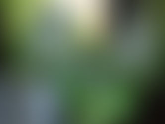 おついたち 2021.9.1