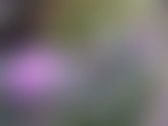 涼しくなりました。