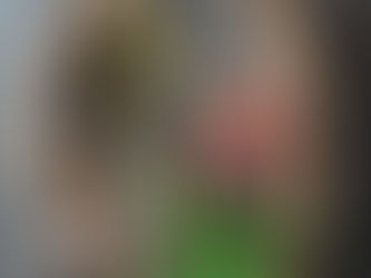 今年もよろしくお願いします (2022. 1. 7)
