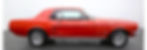 IMG-20210214-WA0013