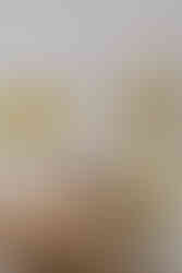 Mueloliva 2025 (Despensa) - GastroSpain (5)