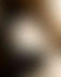 Martín Códax 2025 (Bodega) - GastroSpain (8)