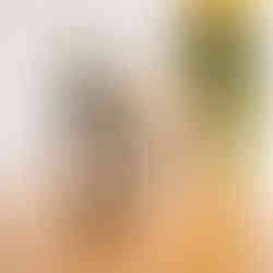 Bodegas Pita (10 blancos Rueda conquistan Madrid 2026) - GastroMadrid (1)