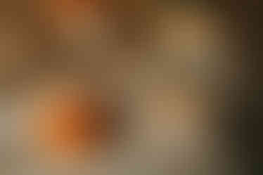 La Payesa (Mahón-Menorca DOP qué marcas buscar 2026) - GastroMadrid (2)