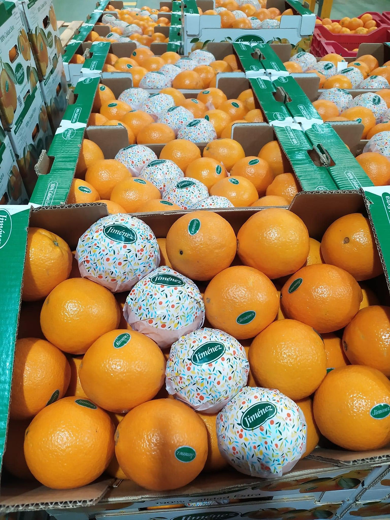 Naranjas Jiménez (Mejores naranjas España 2025) - GastroMadrid (3)