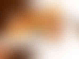 En Bruto (Gastro agenda semanal 2025 - Semana 28) - GastroMadrid (1)