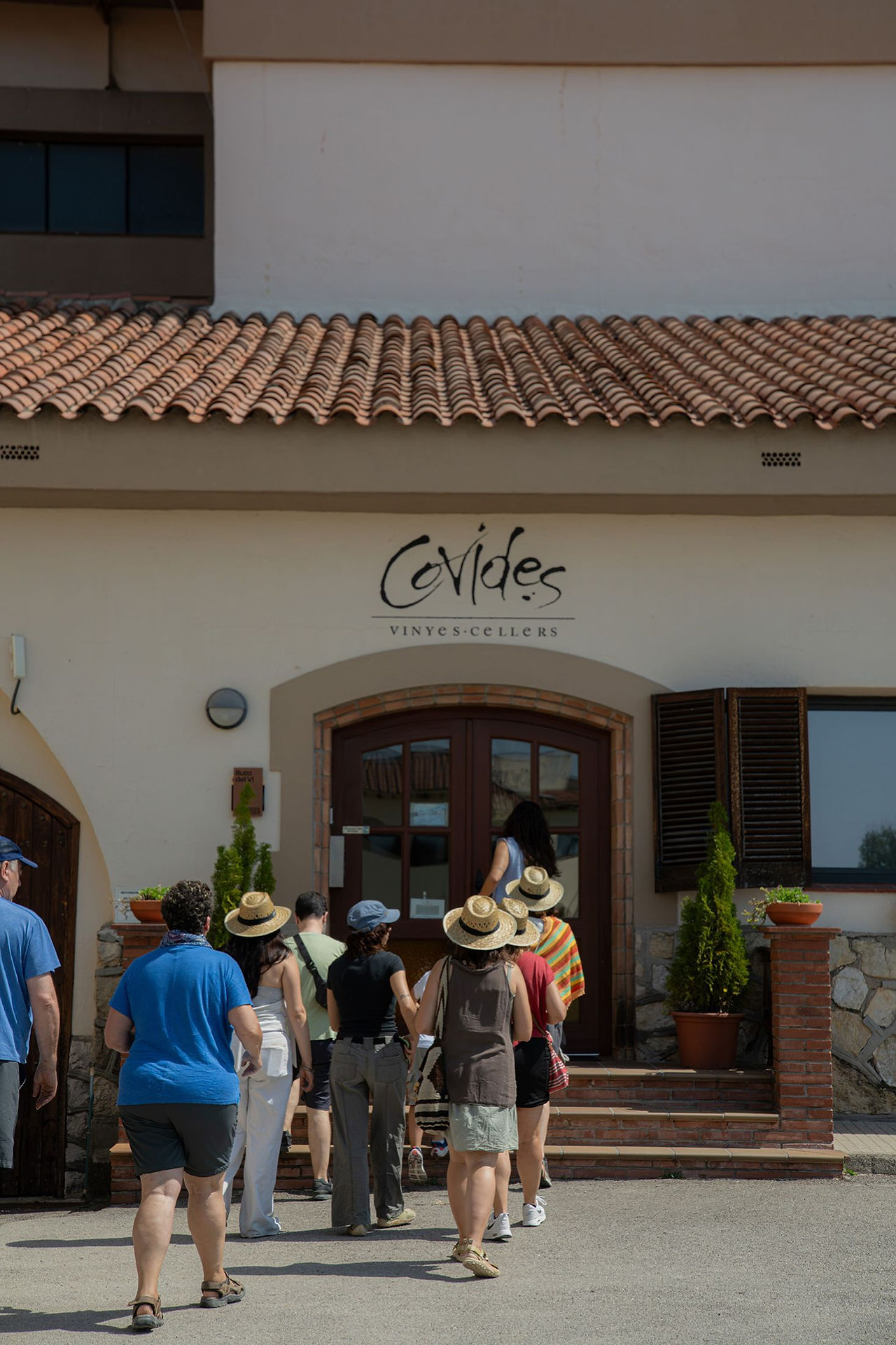 Covides (Experiencias enoturísticas verano 2026) - GastroMadrid (1)