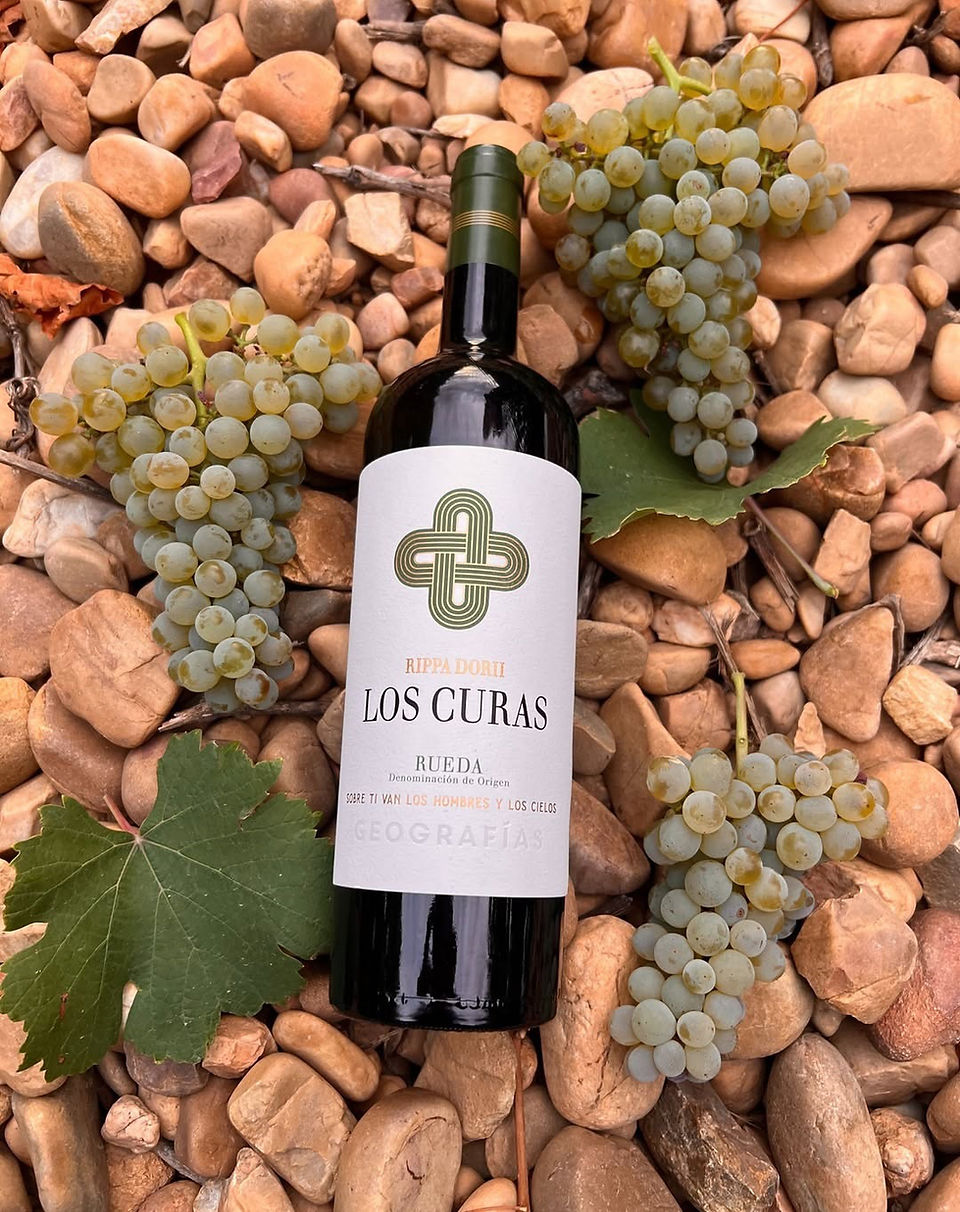 Rippa Dorii (10 vinos perfectos para playa o piscina 2025) - GastroMadrid (1)