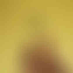 Caviaroli (Los mejores regalos gastronómicos de Navidad 2025) - GastroSpain (2)