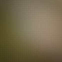 Productor y restaurante: de eslabones a aliados estratégicos