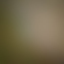 Productor y restaurante: de eslabones a aliados estratégicos