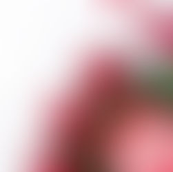 Los mejores regalos gastronómicos para San Valentín 2026