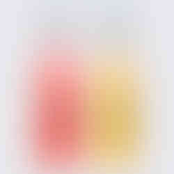 Kombucha La Valiente (Mejores marcas kombuchas España 2025) - GastroSpain (2)