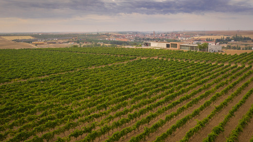 Finca Montepedroso (Familia Martínez Bujanda enoturismo 2026) - GastroMadrid (3)