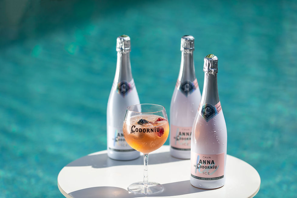 Anna de Codorníu ICE 2023 (Bodega) - GastroSpain (3).jpg