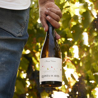 Quinta de Aves (10 vinos perfectos para playa o piscina 2025) - GastroMadrid (2)