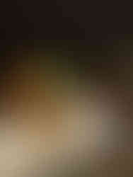 Abellán Biofoods 2025 (Despensa) - GastroSpain (2)