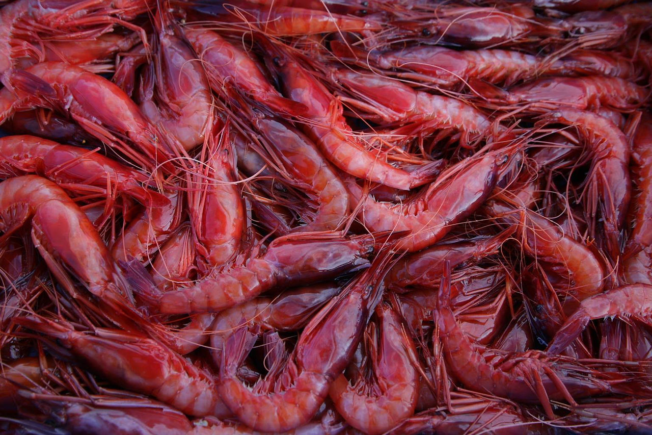 La Platjeta (Las mejores pescaderías de España 2025) - GastroSpain (2)