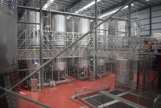 Bodegas Ayuso (Vinos blancos excelentes por menos de 10€ 2026) - GastroMadrid (2)