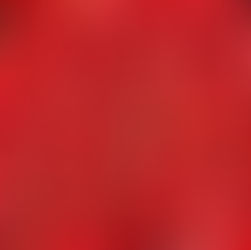 Productos frescos que empiezan a dominar la primavera gastronómica española