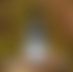 Vino de la semana en GastroSpain. 2025/46: Hombros 2022, de Casar de Burbia