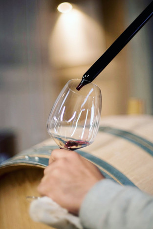 Mélida Wines (Escapadas enoturísticas primavera 2026) - GastroMadrid (1)