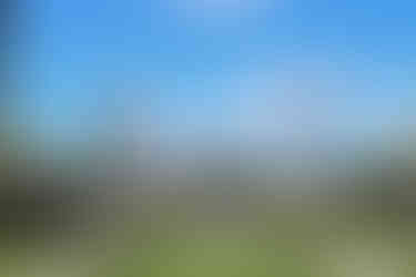 La Quinta de Illescas (Espacios bodas ceremonia y banquete mismo lugar 2026) - GastroMadrid (1)