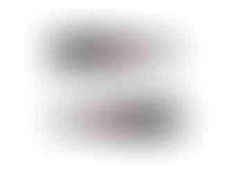 La Bota 108 de Oloroso, de Equipo Navazos (Vino de la semana - Semana 2 2025) - GastroSpain (3)