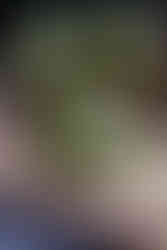 Productos primavera gastronómica española 2026 (Fresquera) - GastroSpain (2)