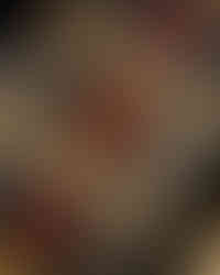 Arturo Sánchez (Dónde comprar ibéricos con garantía 2026) - GastroMadrid (2)