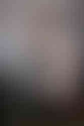 Proquenor quesos Gran Canaria 2026 (Producto) - GastroMadrid (9)