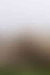 Proquenor quesos Gran Canaria 2026 (Producto) - GastroMadrid (5)