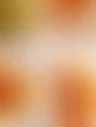 El Mirlo Tarifa 2025 (Restaurantes & Bares) - GastroSpain (2)