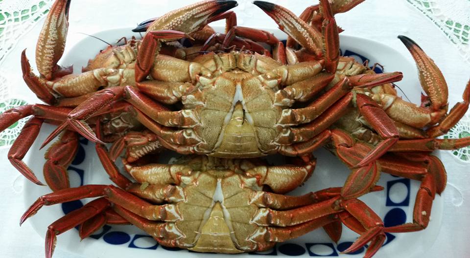 Posta do Sol (10 mejores restaurantes marisco Galicia 2025) - GastroSpain (1).jpg
