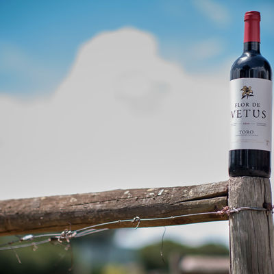 Vino de la semana en GastroSpain. 2025/48: Flor de Vetus, de Bodegas Vetus