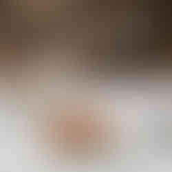 Casa Masip (Restaurante de la semana - Semana 45 2025) - GastroSpain (3)