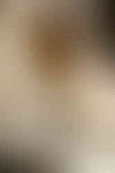 Bodegas José Pariente (Viñedos centenarios España 2025) - GastroMadrid (1)