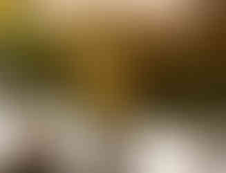 Numa Pompilio (Top 6 restaurantes de Madrid que podrían estar en Ibiza 2025) - GastroMadrid (1)