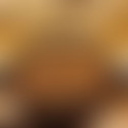 Arroz de la semana en GastroSpain. 2026/6: Almanaque Casa de Comidas