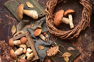 Productos de temporada - Otoño setas 2023 (Producto) - GastroMadrid (1).jpg