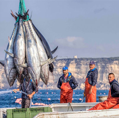 Localidad gastronómica del mes en GastroSpain. Julio 2025: Barbate