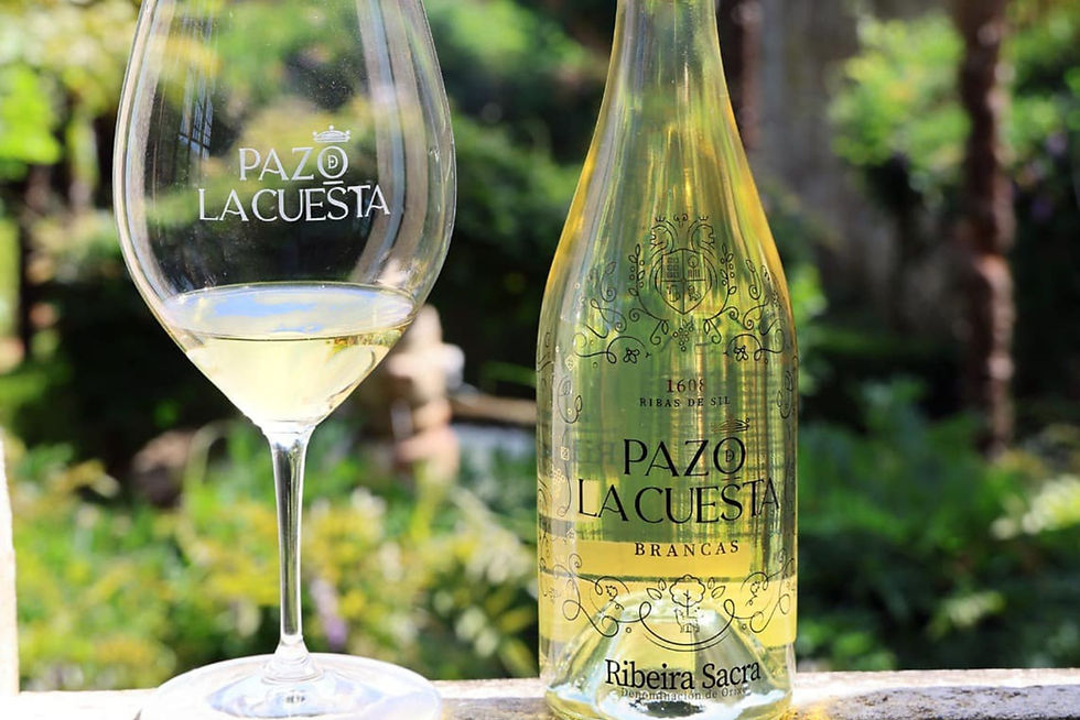 Brancas 2023, de Pazo de la Cuesta (Vino de la semana - Semana 34 2025) - GastroSpain (1)