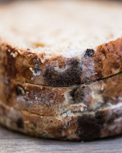 Checklist reiniciar despensa post-verano 2025 (GastrHOGAR) - GastroSpain (2)