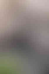 Zwilling (GastroBazar regalos Navidad 2025) - GastroMadrid (2)