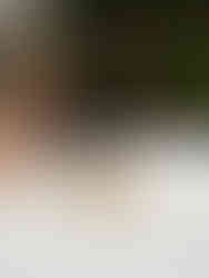 El Jardín de Orfila (Tarta de queso de la semana - Semana 50 2025) - GastroMadrid (3)