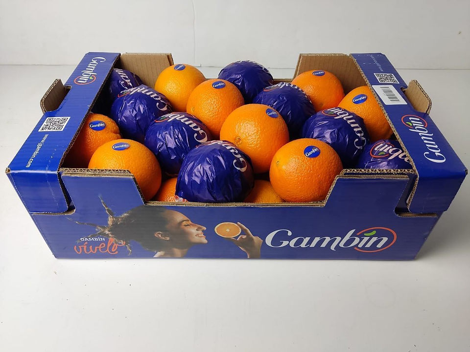 Gambín (Mejores naranjas España 2025) - GastroMadrid (3)