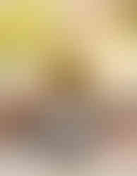 Bodegas Castillo de Monjardín (Mejores vinos blancos relación calidad precio España 2025) - GastroMadrid (1)