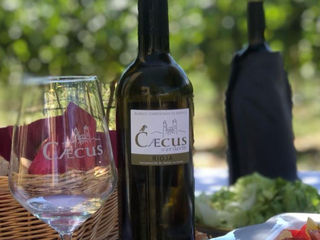 El vino del mes en GastroMadrid. Septiembre 2025: Caecus Verderón, de Bodega Pago de Larrea