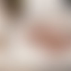 Conservas Serrats: la esencia del Cantábrico en cada filete de anchoa