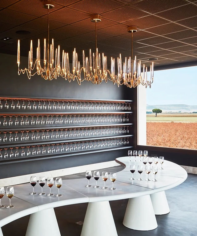 Bodegas Arzuaga Navarro (Bodegas más bonitas España 2026) - GastroMadrid (2)